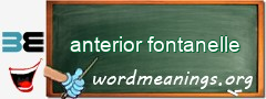 WordMeaning blackboard for anterior fontanelle